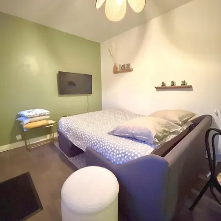 Maison Duplex Confort-cote Cour Et Jardins-centre Gare *