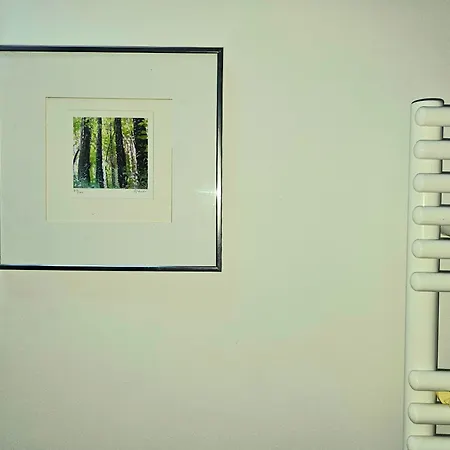 Maison Duplex Confort-cote Cour Et Jardins-centre Gare * Amiens