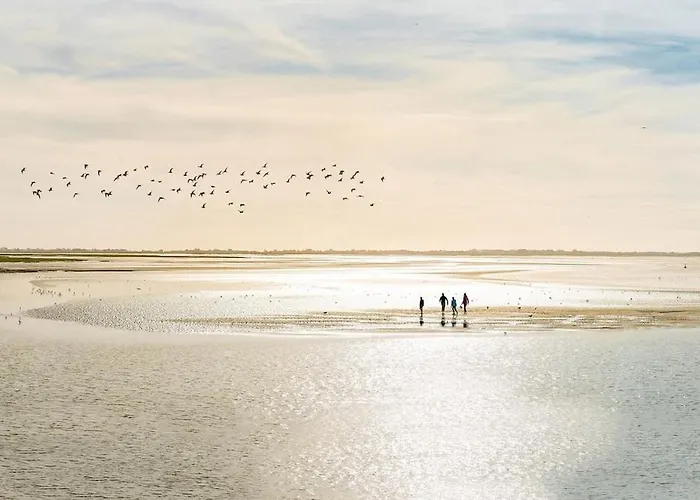 Maison Duplex Confort-cote Cour Et Jardins-centre Gare 別荘 アミアン