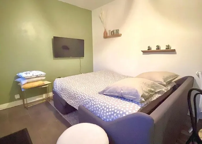 Maison Duplex Confort-cote Cour Et Jardins-centre Gare *